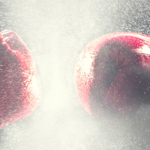 Afficher La coupe des startup